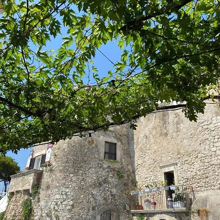 Celestina 페스키치