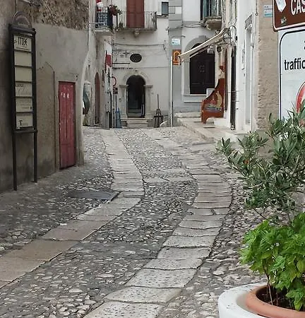 Celestina 페스키치